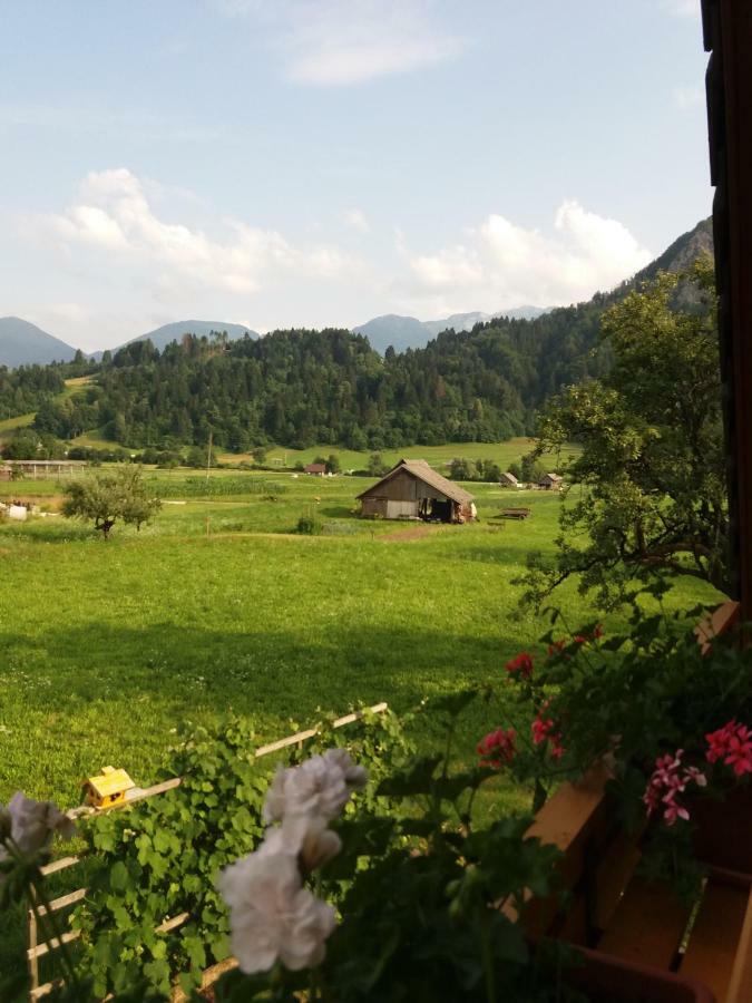 Apartmaji Bremec Bohinj Exterior foto